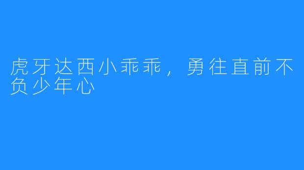 虎牙达西小乖乖，勇往直前不负少年心