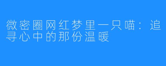 微密圈网红梦里一只喵：追寻心中的那份温暖