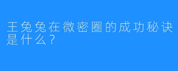 王兔兔在微密圈的成功秘诀是什么？