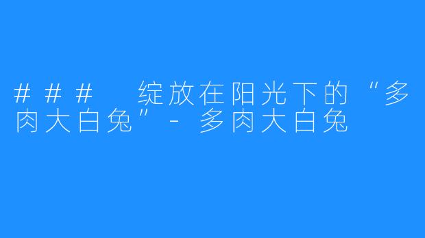 ### 绽放在阳光下的“多肉大白兔”-多肉大白兔