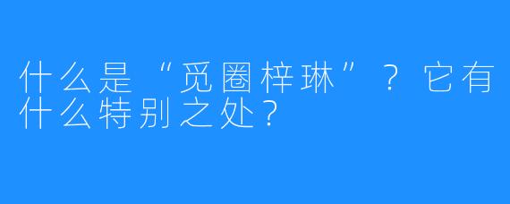 什么是“觅圈梓琳”？它有什么特别之处？