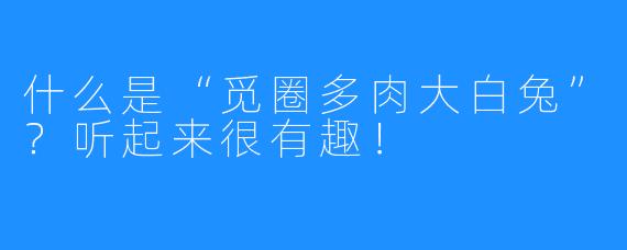 什么是“觅圈多肉大白兔”？听起来很有趣！