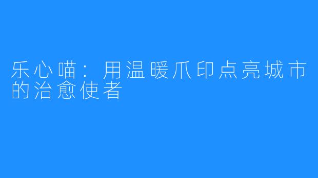 乐心喵：用温暖爪印点亮城市的治愈使者