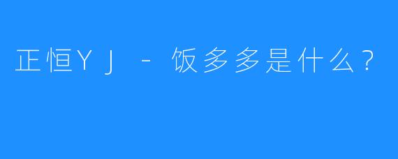 正恒YJ-饭多多是什么？