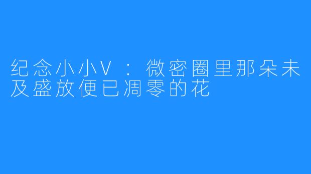 纪念小小V：微密圈里那朵未及盛放便已凋零的花