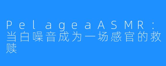 PelageaASMR：当白噪音成为一场感官的救赎