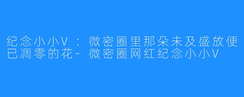 纪念小小V：微密圈里那朵未及盛放便已凋零的花-微密圈网红纪念小小V